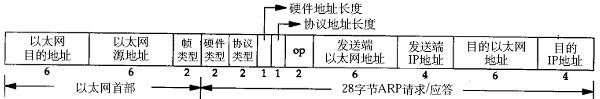 ARP数据报格式