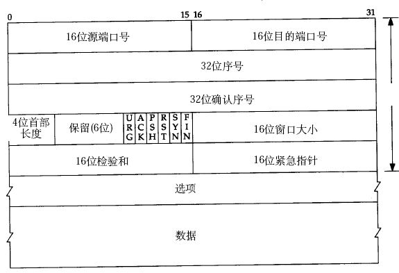 TCP段格式